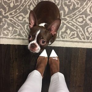 Tan & White Plexi Pump